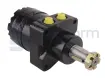 Drive motor, hydraulic