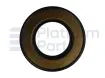 Oil seal