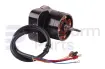 Drive motor, electric