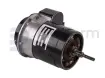 Drive motor, electric