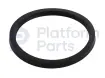 Oil seal
