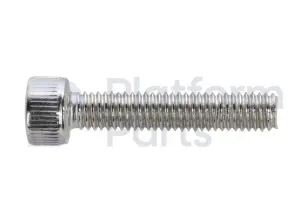 Screw