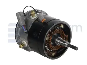 Drive motor, electric
