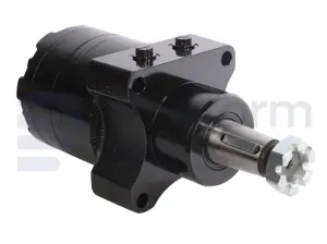 Drive motor, hydraulic