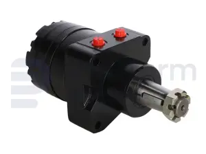 Drive motor, hydraulic