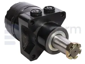 Drive motor, hydraulic