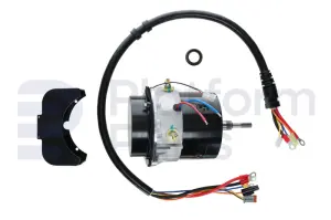 Drive motor, electric