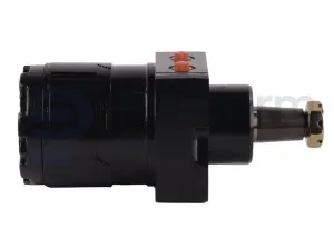 Drive motor, hydraulic