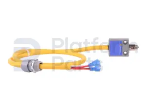 Limit switch