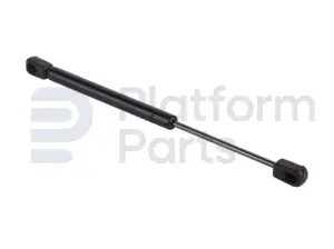 Gas strut