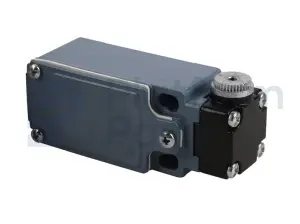 Limit switch, safety