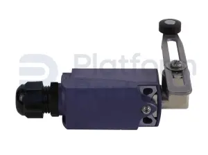 Limit switch