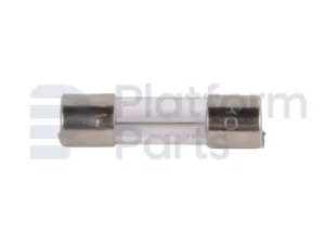 Glassicherung 20mm 20A (Preis/10 pcs)