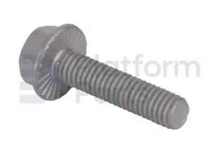 Screw