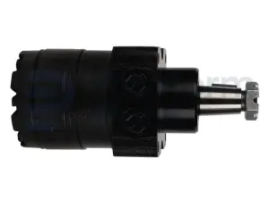Drive motor, hydraulic