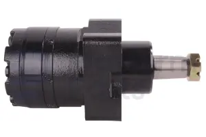 Drive motor, hydraulic