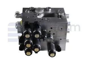 Function manifold