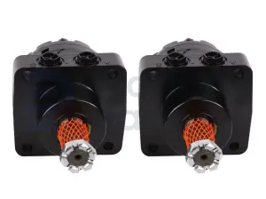 Drive motor, hydraulic