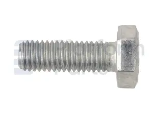Screw