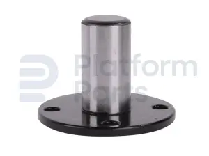 Pin