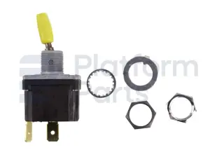 Switch, toggle, 2P