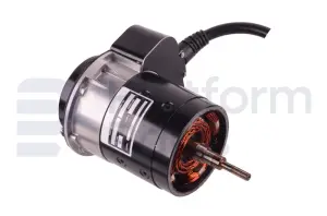 Drive motor, electric
