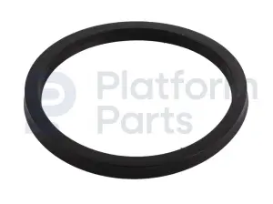 Oil seal