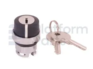 Switch, key, 2P spring return left, key removal left