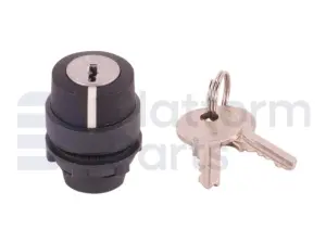 Switch, key, 2P maintained, key removal left