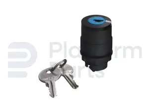 Switch, key, 2P spring return left, key removal left