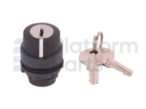 Switch, key, 3P spring return left or right to center, key removal from center