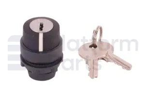 Switch, key, 3P maintained, key removal from 3 positions