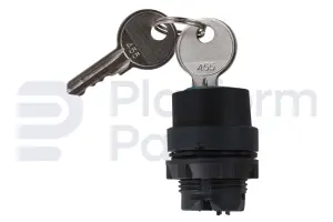 Switch, key, 3P maintained, key removal from center
