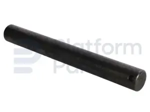 Pin