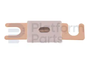 Sicherung 100A (Preis/5 pcs)