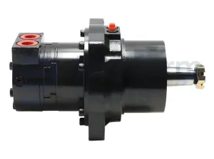 Drive motor, hydraulic