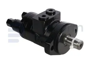 Drive motor, hydraulic