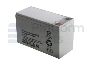 Starter battery