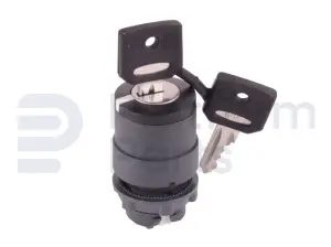 Switch, key, 3P spring return right to center, key removal from center/left
