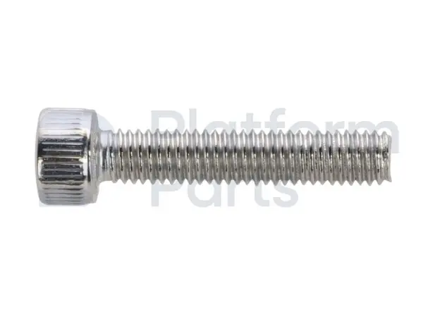 Screw