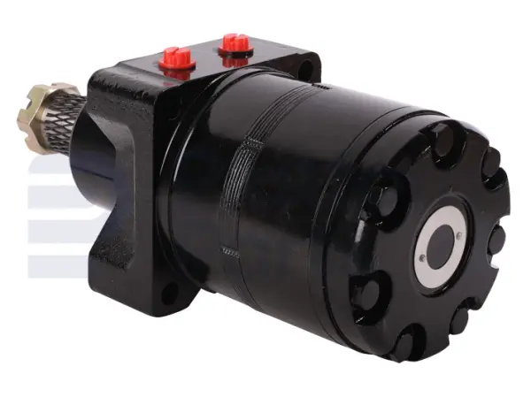 Drive motor, hydraulic