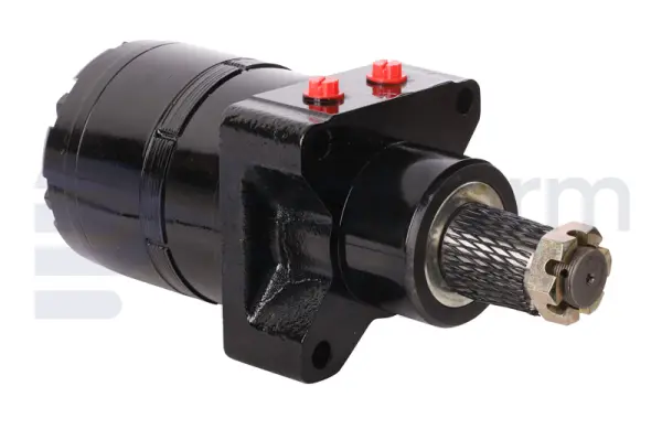 Drive motor, hydraulic