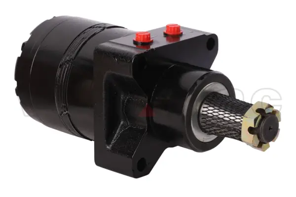 Drive motor, hydraulic