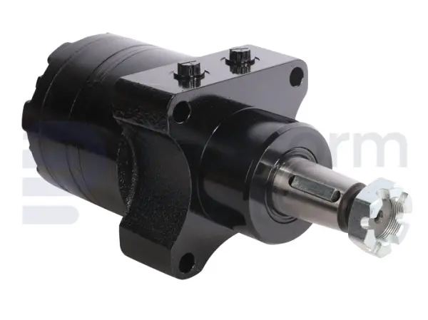 Drive motor, hydraulic