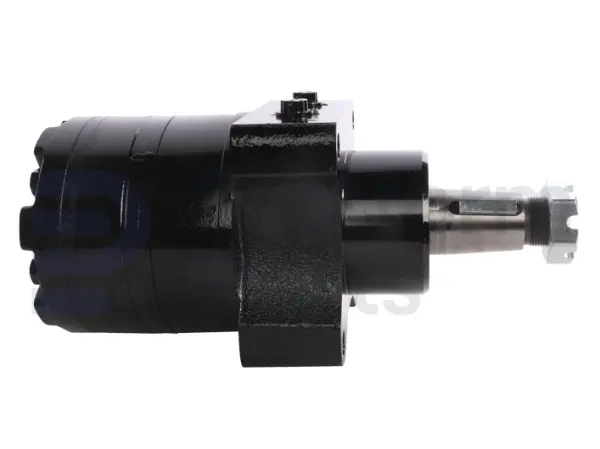 Drive motor, hydraulic