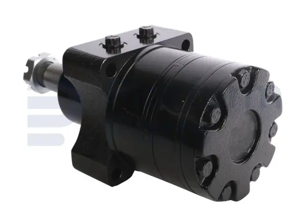 Drive motor, hydraulic