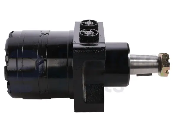 Drive motor, hydraulic