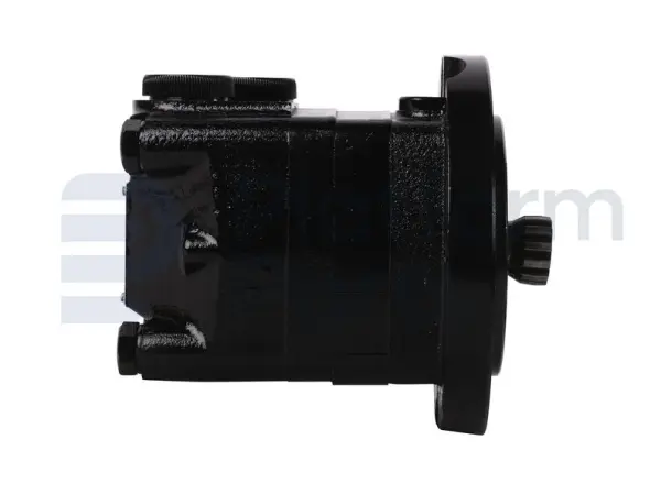 Drive motor, hydraulic