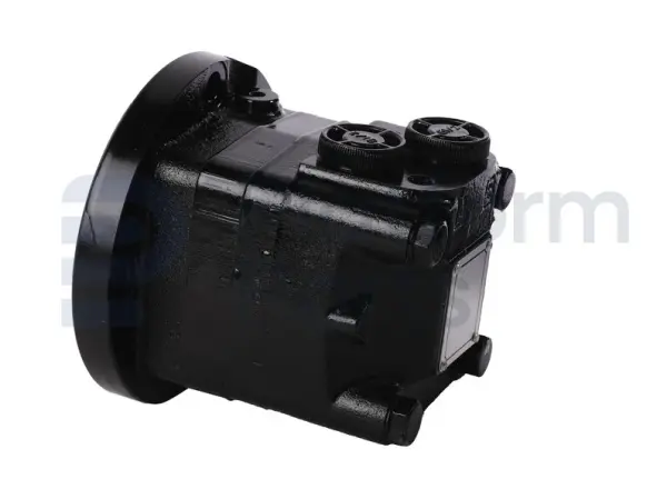 Drive motor, hydraulic
