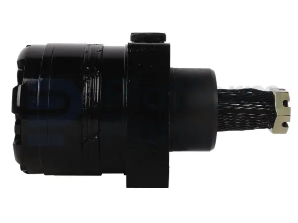 Drive motor, hydraulic